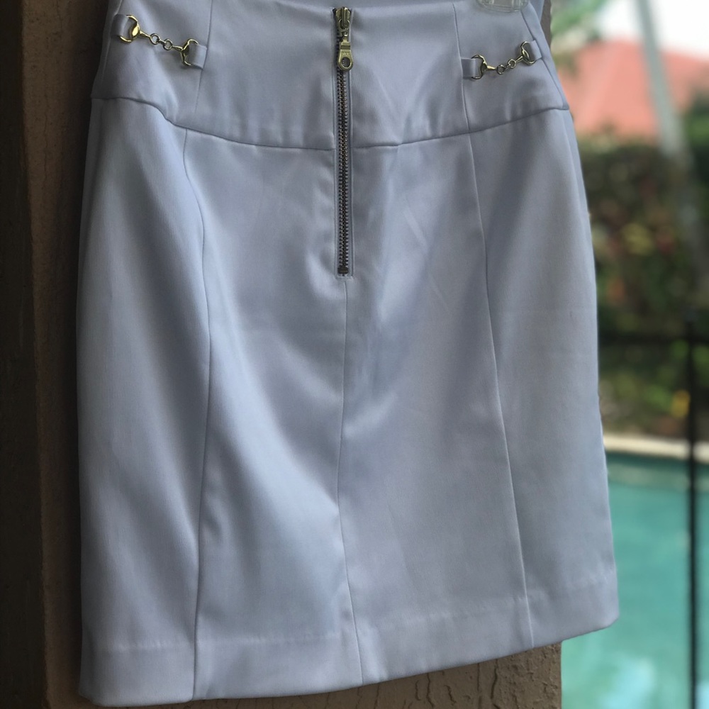 NEW Express Mini Skirt - Picture 2 of 2